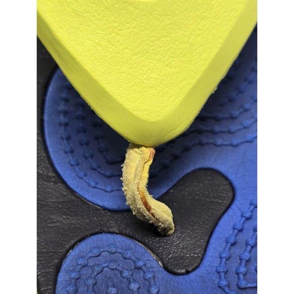 CROCS MODI SPORT Thong Flip Flops Unisex Mens 7 Women's Size 9-Yellow Blue Black - Picture 5 of 15